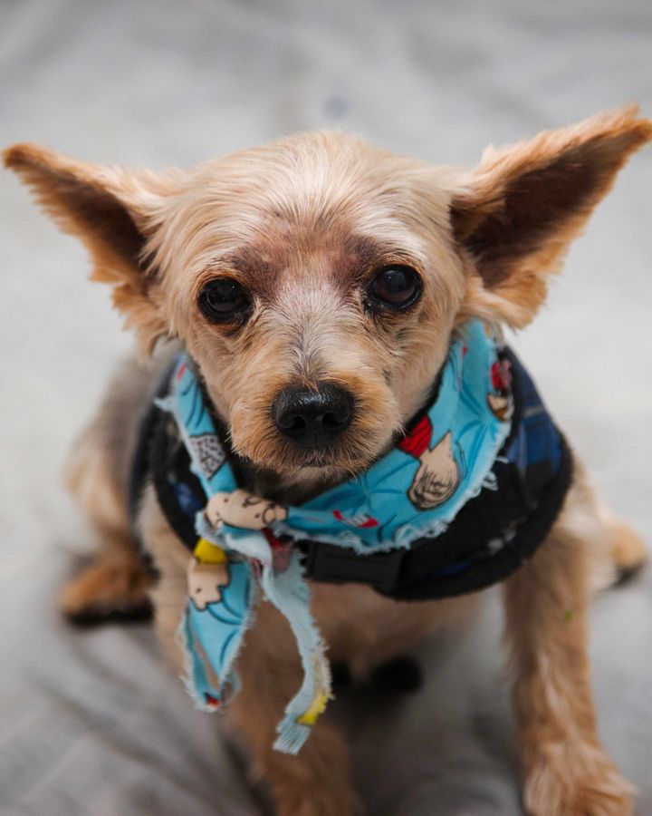 Week ending March 7, 2025