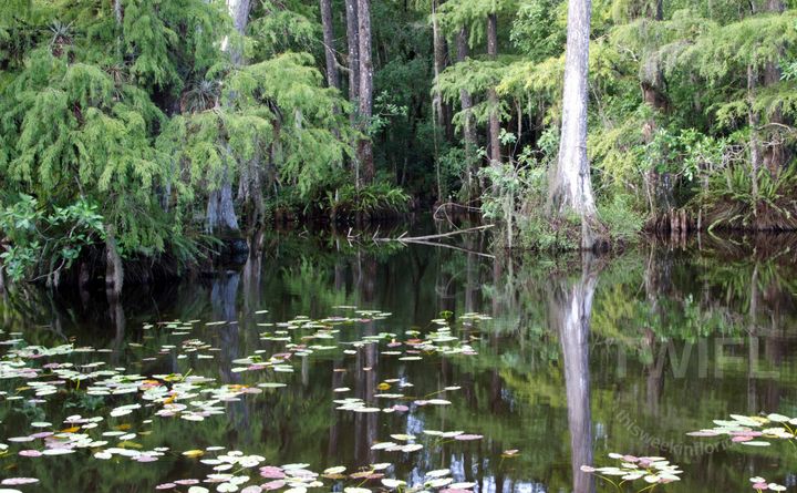 Let's take a deep breath: Week September 1 2, 2025