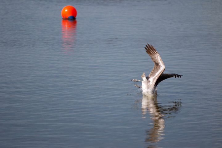 Time to dive into South Florida's week that ended December 12, 2025 (late--sorry)