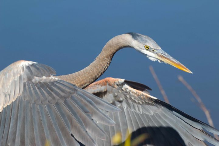 Week ending February 27, 2026