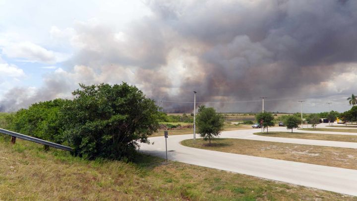 Fire and I.C.E. in South Florida-- literally: Week ending May 15, 2026
