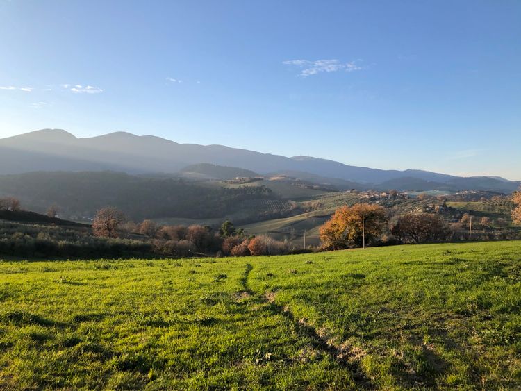 Racconti rurali - OTO