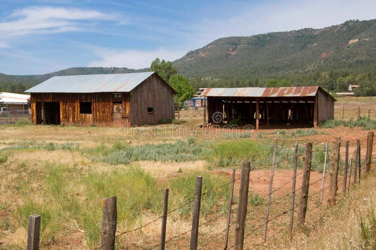 Racconti rurali - Gli abusi edilizi