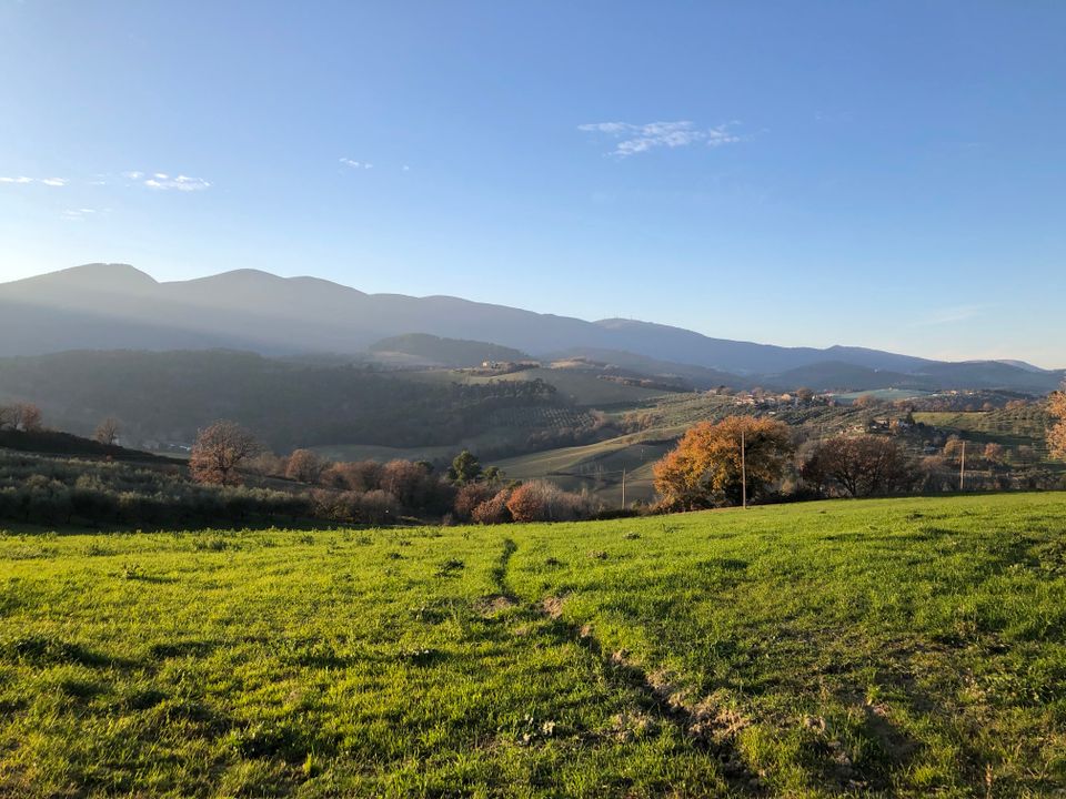 Racconti rurali - OTO