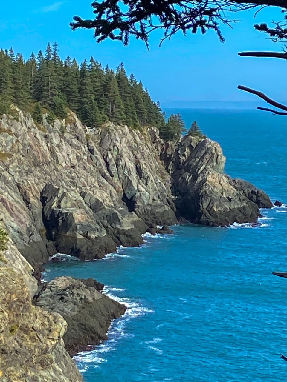 October on the Cutler Coast: A Trail, A Risk, A Beginning