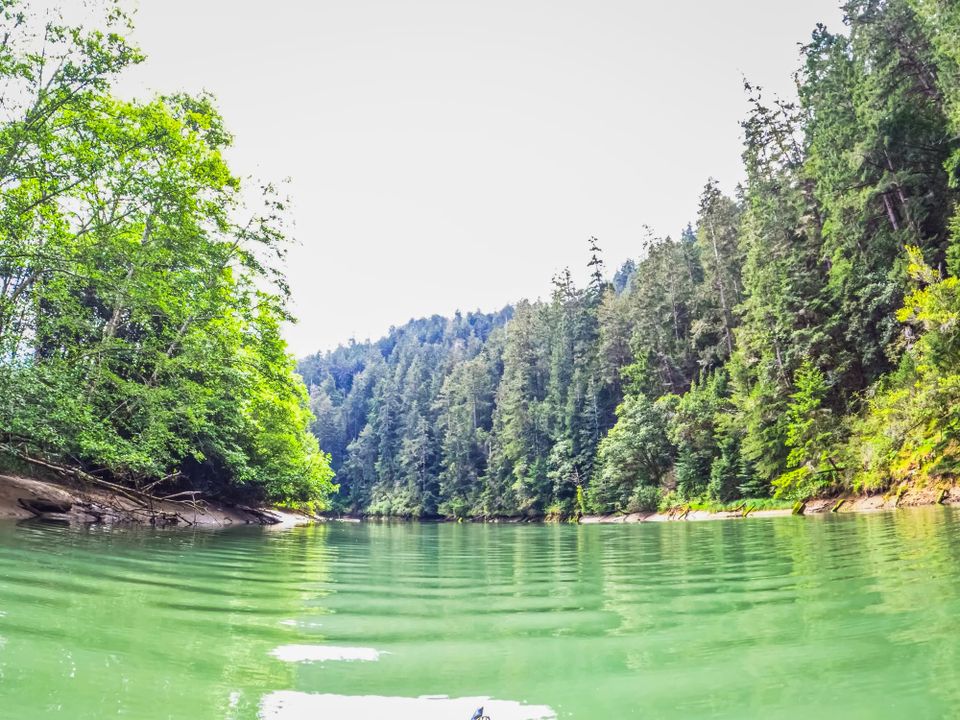 Dispatch No. 6: Big River, Before the World Woke Up