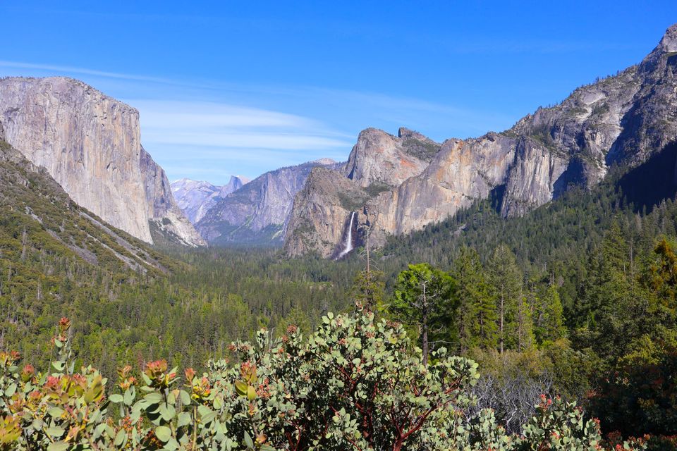 Dispatches from the Coast · No. 3 Yosemite, Day One: The Other Side of the Tunnel