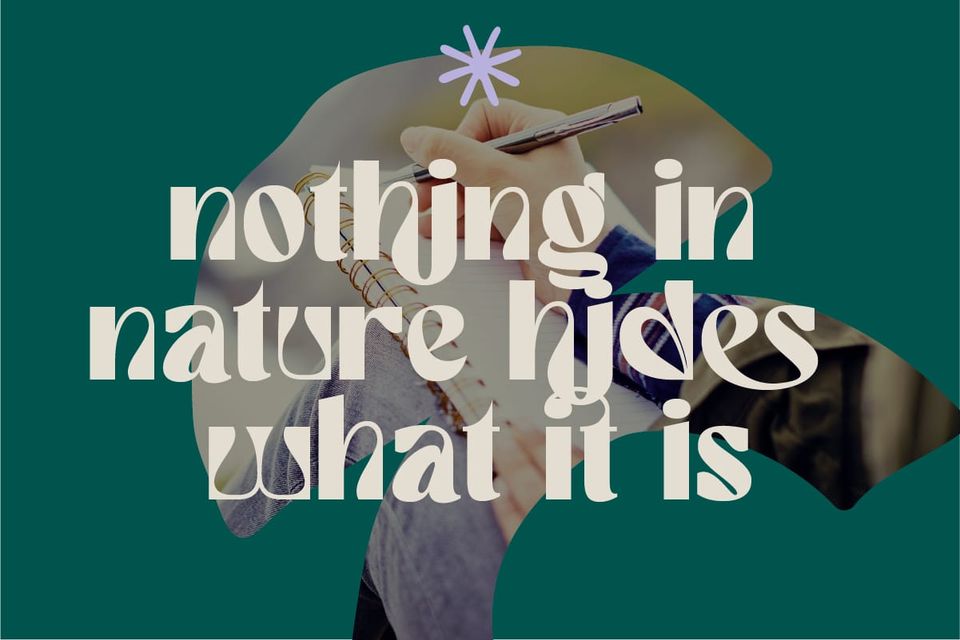 Nothing in nature hides what it is