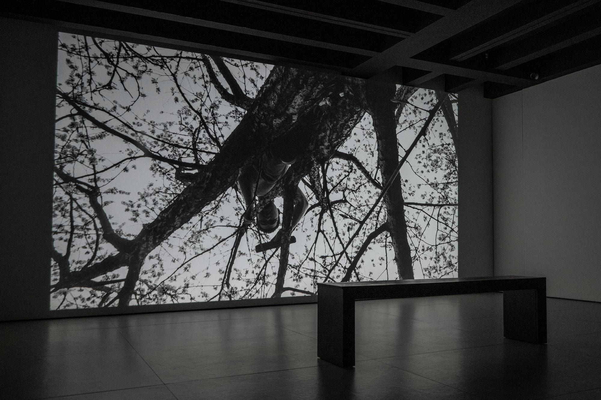 A large projection of a video work by Gao Yutao is seen on the white wall of a gallery space, with a bench for sitting