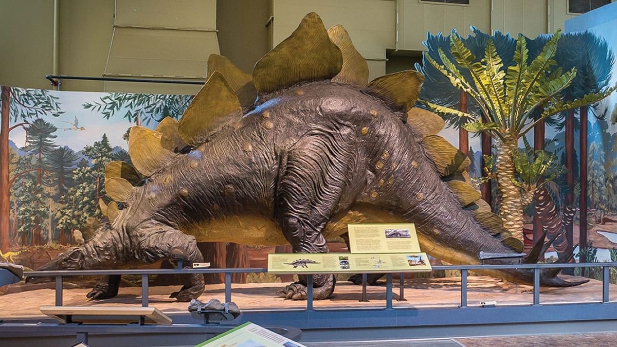 Museum of the Earth seeks donations to pay mortgage amid deep financial woes