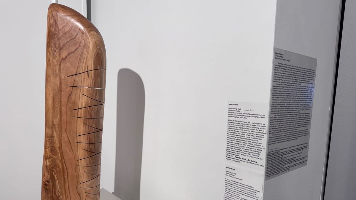 Carved wood ‘arbrasson’ blends sculpture and sound, echoing lost musical tradition