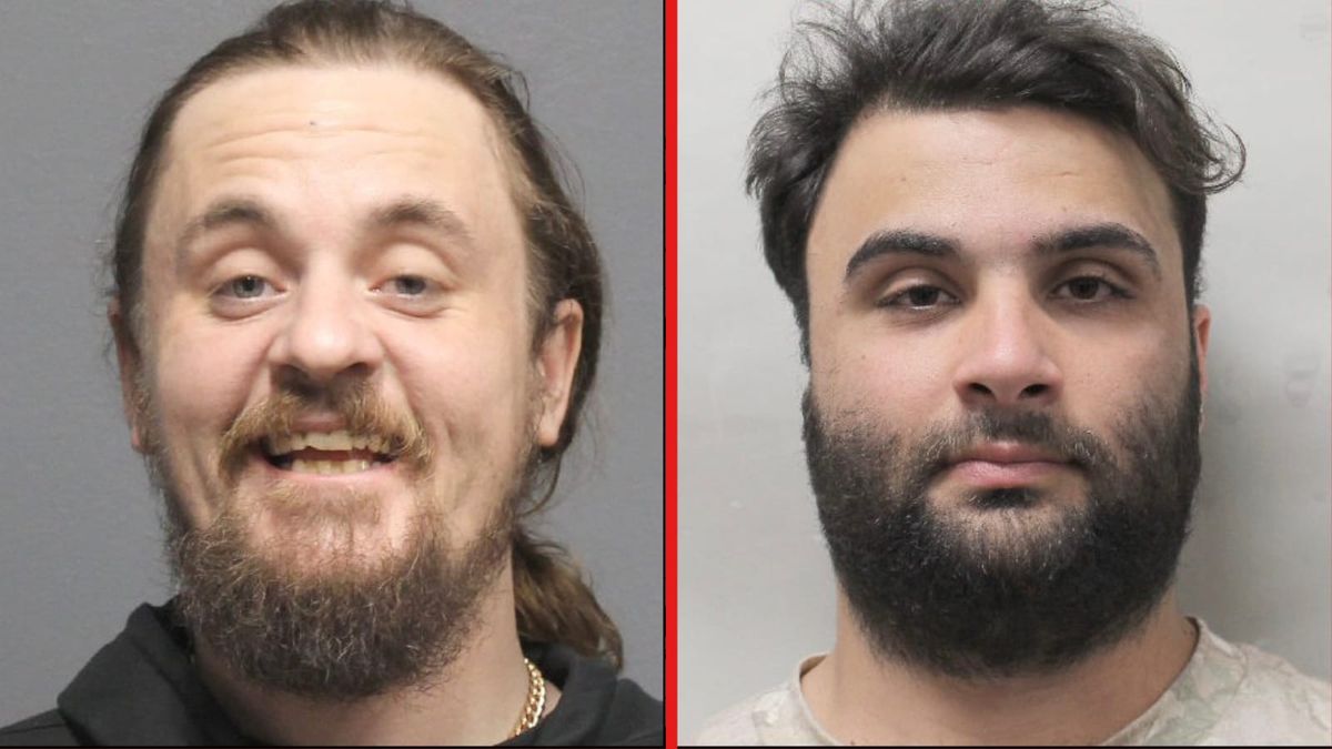 Louisiana investigators arrest two men who allegedly stole painting