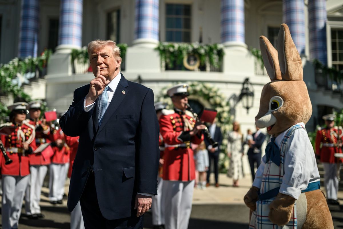‘Like a Paw Patrol book’: DOJ official pens weird filing in White House East Wing suit