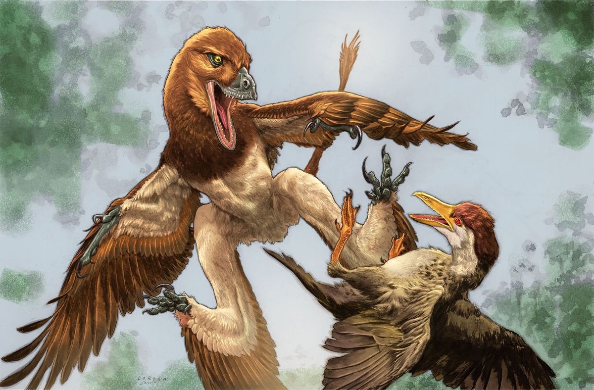 New feathered dinosaur surfaces at a Chinese site famous for early birds