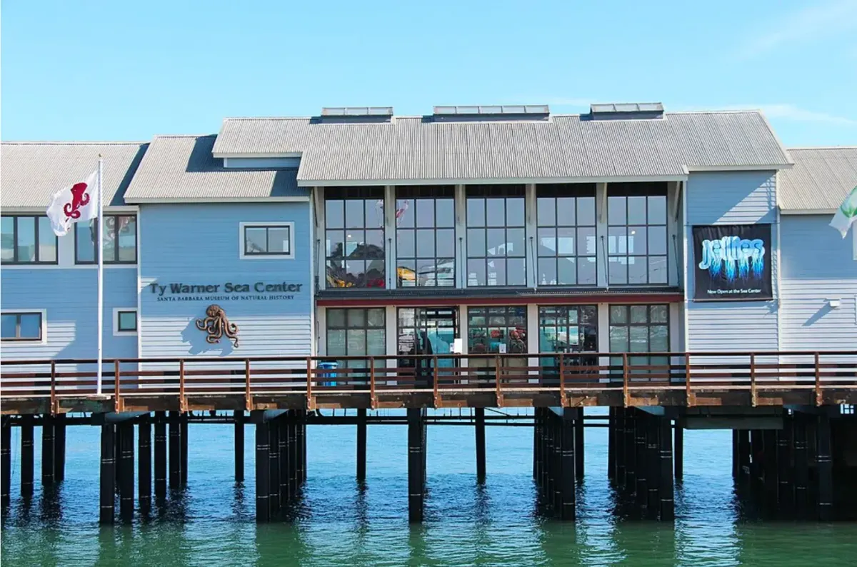 Beanie Babies billionaire lays out legal strategy in Santa Barbara museum suit appeal