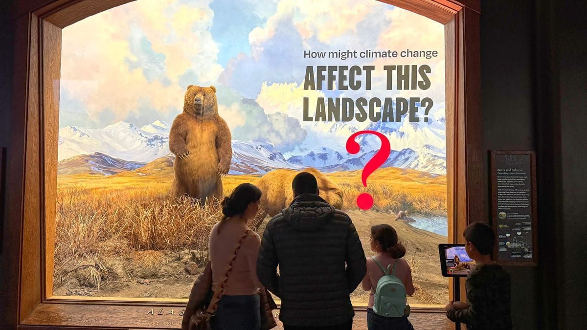 AMNH wins $508K judgment from sightseeing pass company that shut down