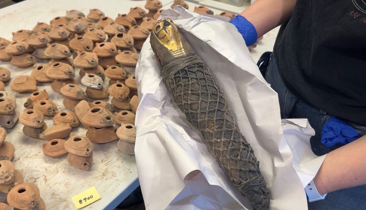 ICE puts Florida antiquities seizure at 22,000, names no suspects