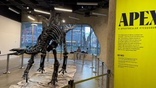 Below the Fold: A new series logging low-profile lawsuits involving museums