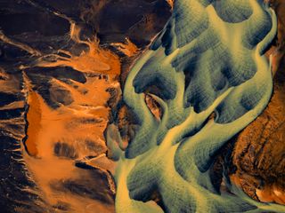 Photographer Jon McCormack’s new book explores patterns found in nature