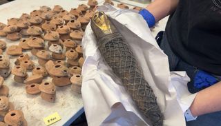 ICE puts Florida antiquities seizure at 22,000, names no suspects