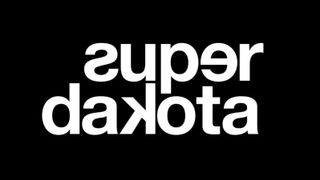 Super Dakota founder closes Brussels gallery, launches art-and-gaming institute