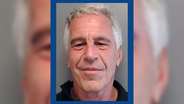 Jeffrey Epstein is pictured in his 2013 Florida Department of Law Enforcement mughsot.