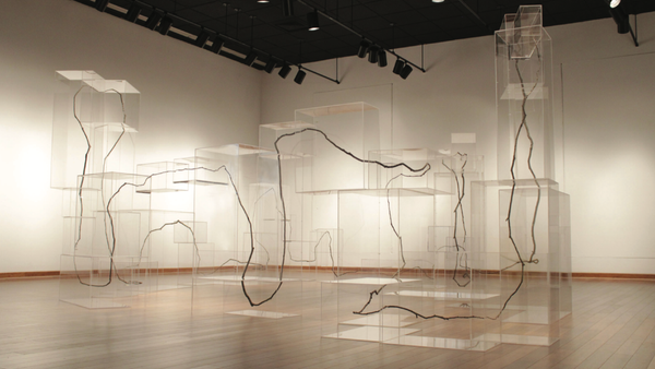 Liu Shiming Art Foundation awards 2025 grants to early-career artists