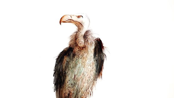 Fear and Loathing on the Gonzo Art Trail: Ralph Steadman show opens in Torrance