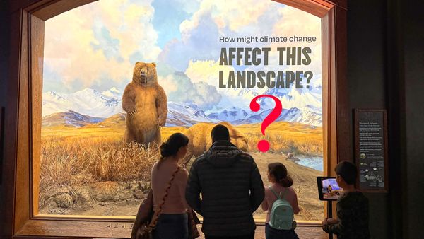 An interior view of the American Museum of Natural History