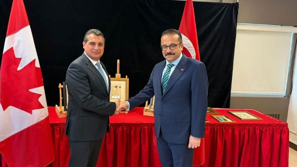 two diplomats shake hands in front of turkish cultural artifacts