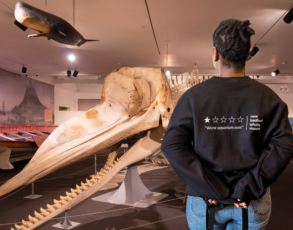What We Skipped: A 'worst aquarium ever,' talking saints and a $45 masterpiece