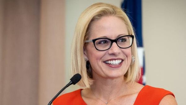 Deputies say Sinema's ex-bodyguard sank $123,015 in paintings in her pool