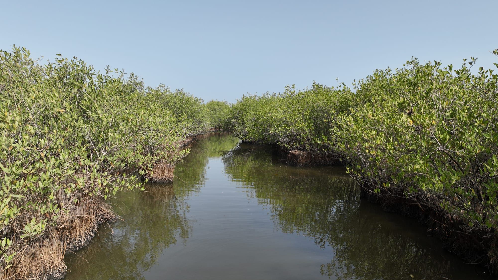 Fragilidade institucional agrava vulnerabilidade climática da Guiné-Bissau, alerta a chefe do PNUD-Ambiente