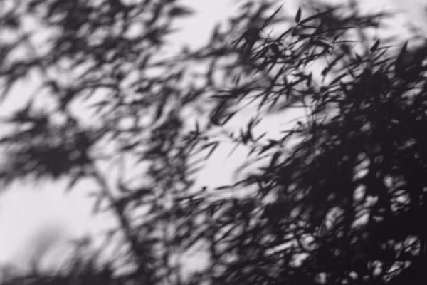 The New Eastern Aesthetics Playbook  Feature Image