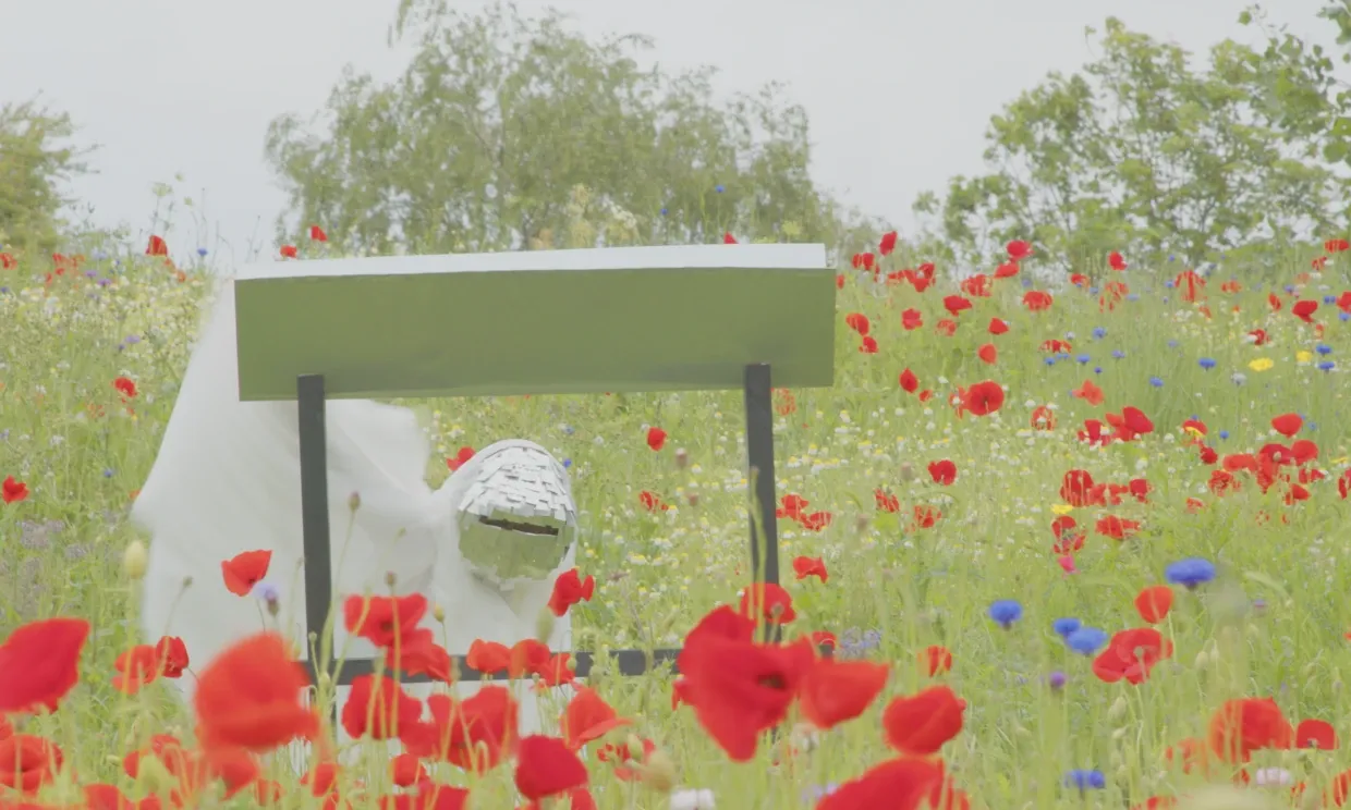 A masked figure is walking through a field filled with poppies and other wildflowers