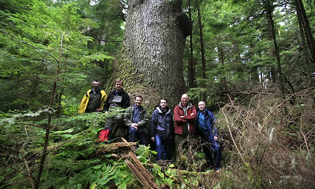 Musicwood