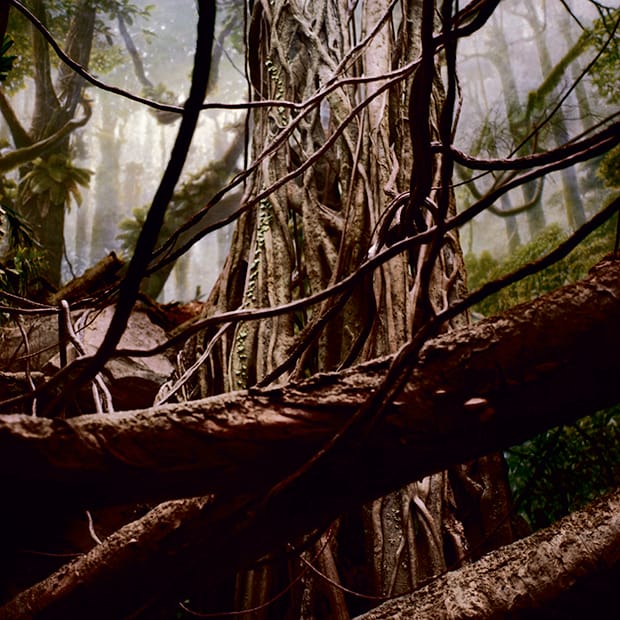 David O'Shaughnessy - Cercopithecus wolfi – Zoo Logical –Stour Space 620