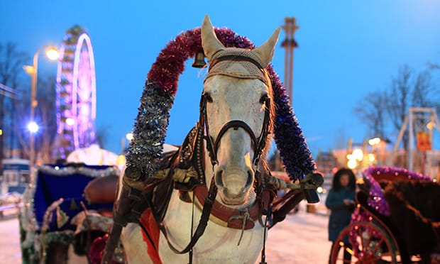 Winterville