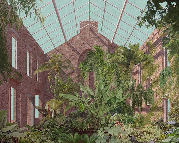 An indoor garden with roof. Part of Granby Four Streets by Assemble