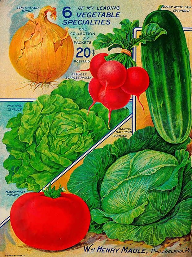 Tomato advertisment