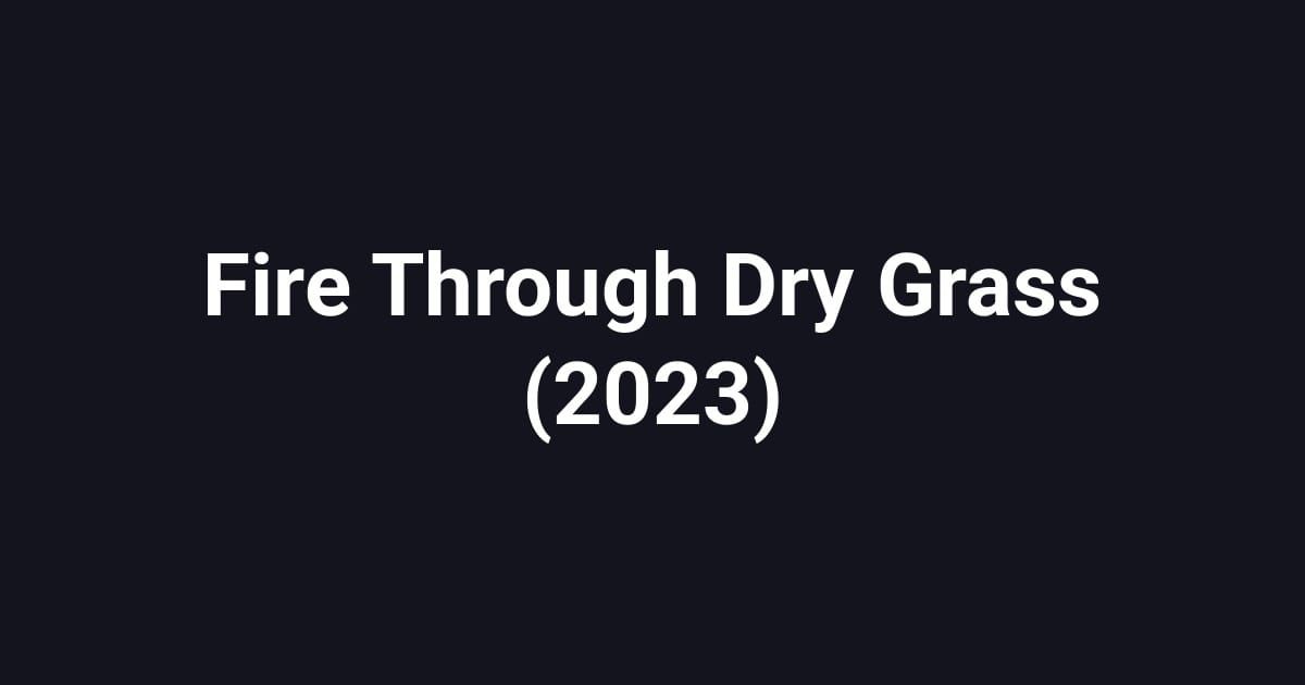 Fire Through Dry Grass (2023)