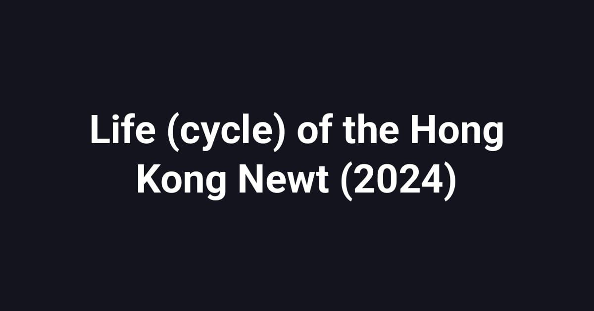 Life (cycle) of the Hong Kong Newt (2024)
