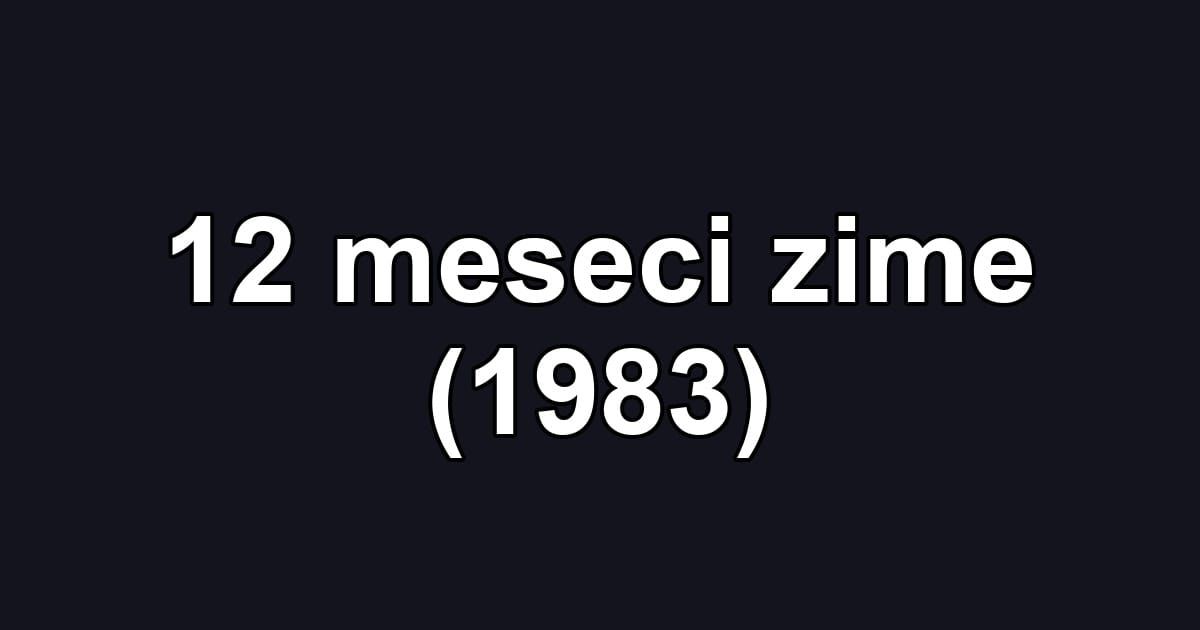 12 meseci zime (1983)