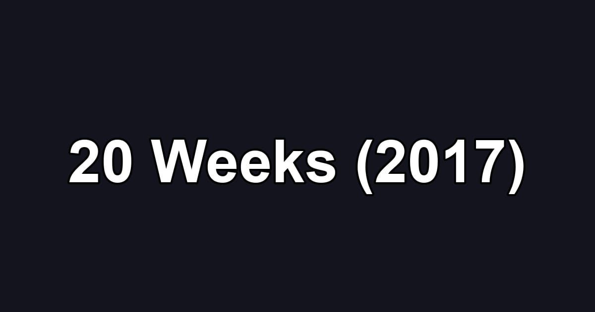 20 Weeks (2017)