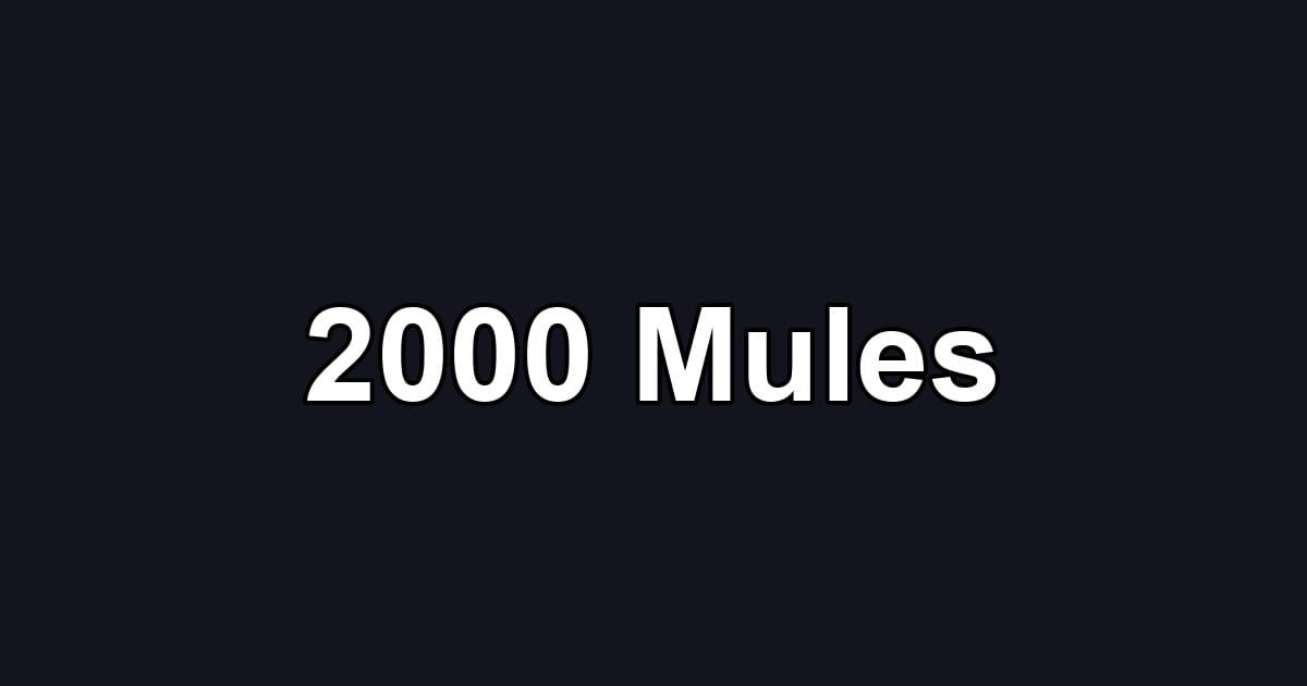 2000 Mules