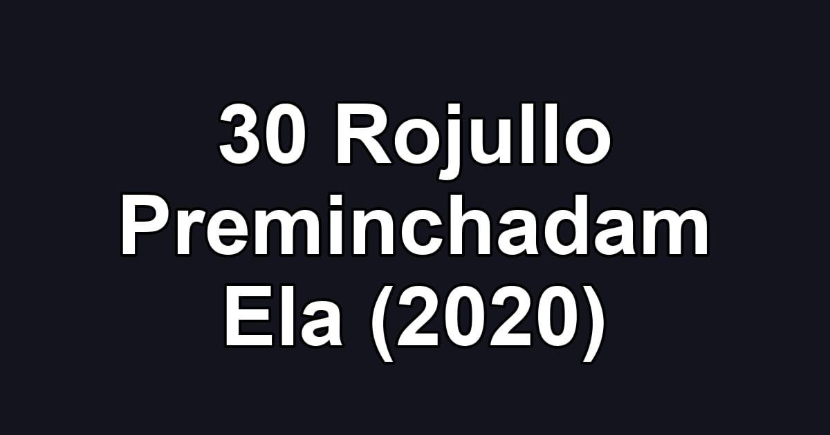 30 Rojullo Preminchadam Ela (2020)