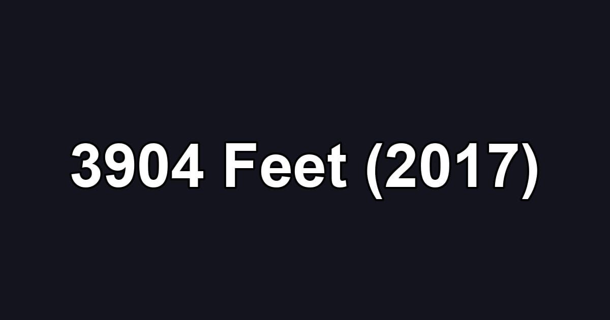 3904 Feet (2017)