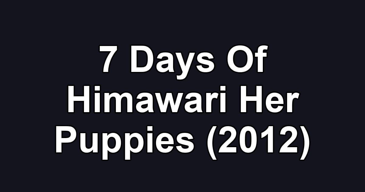7 Days Of Himawari Her Puppies (2012)