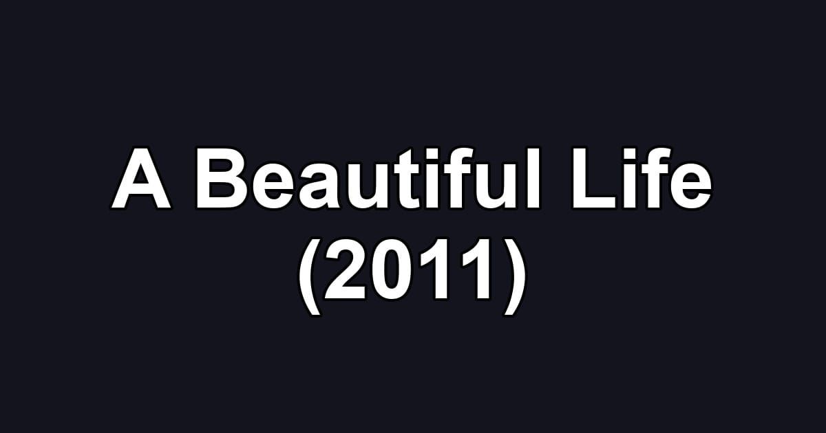 A Beautiful Life (2011)
