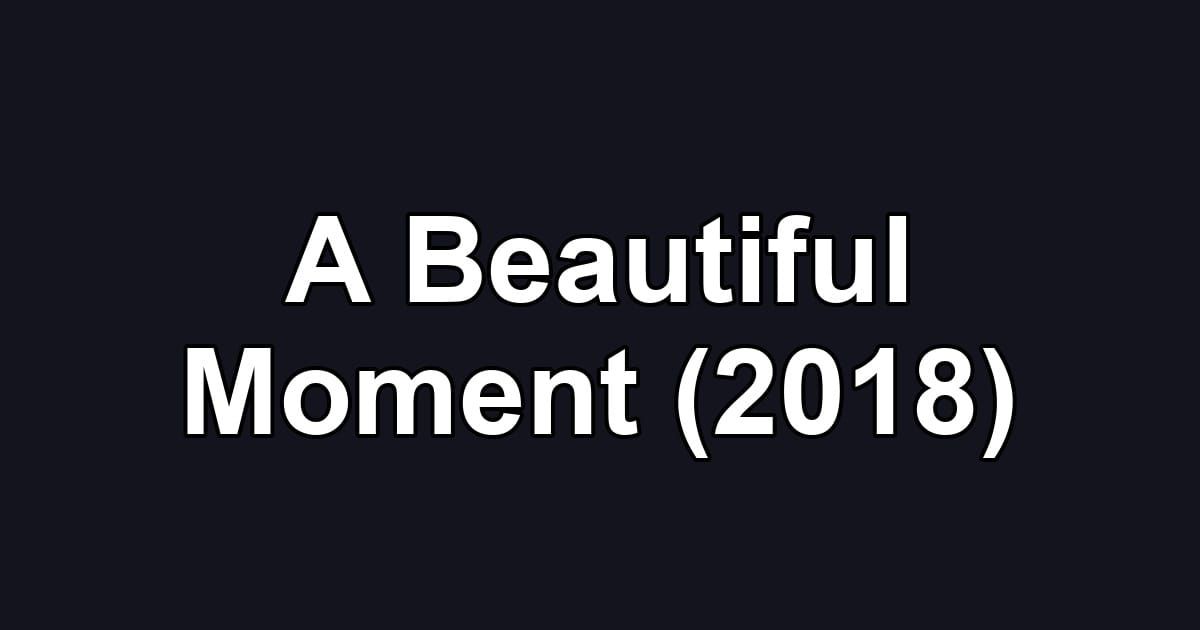 A Beautiful Moment (2018)
